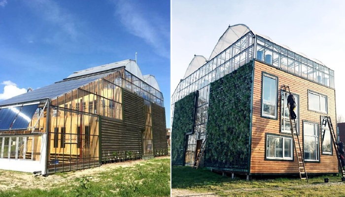 Разработкой и строительством дома-теплицы CHIBB занимались специалисты университета Роттердама.