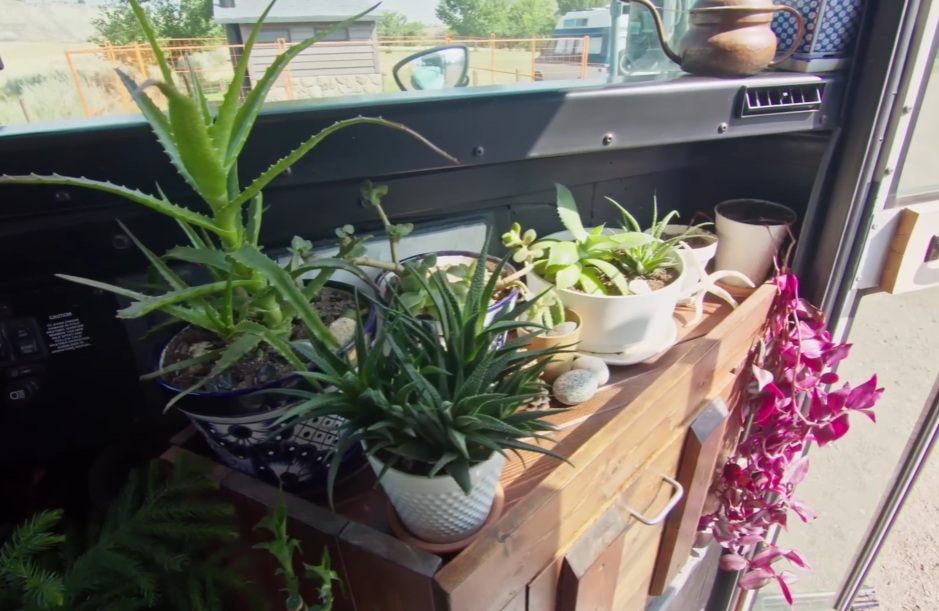 Живой уголок прямо у входа.