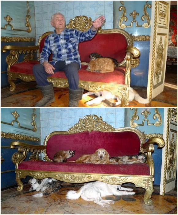 Котейкам и псам разрешалось не только гулять по «царским» палатам, но и спать на роскошных диванах.