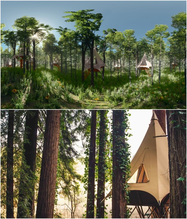 Палатку можно приобрести по франшизе под брендом Treewalkers.