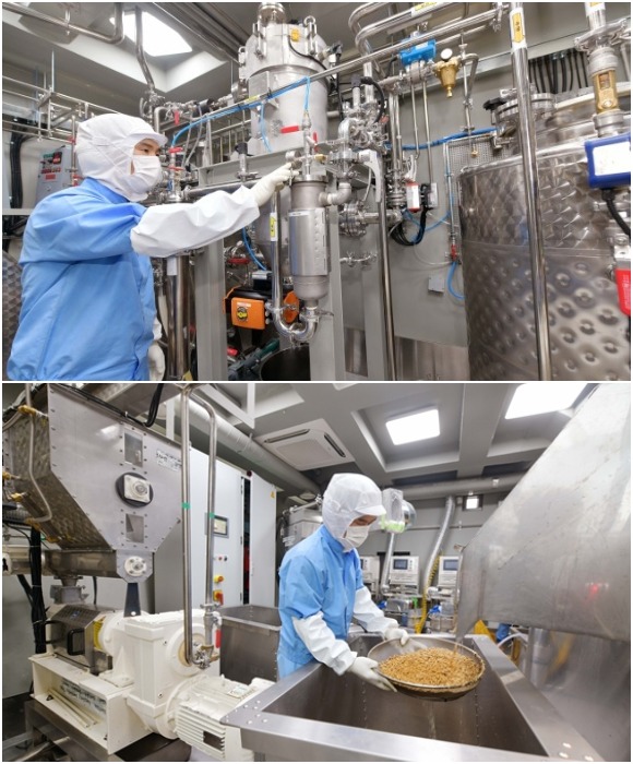 Производственный процесс изготовления кунжутного масла в цеху компании Queens Bucket (Сеул).