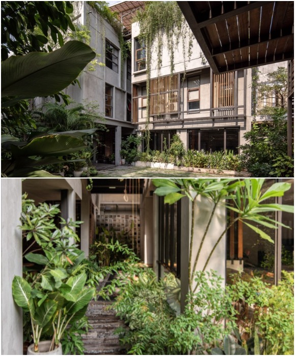 Максимальное озеленение фасада, внутреннего двора, переходов и самих помещений стало главной изюминкой дизайна (Tamni Hostel, Бангкок).