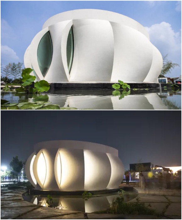 Эффектный 3D-объект Lotus House создали американские студенты.