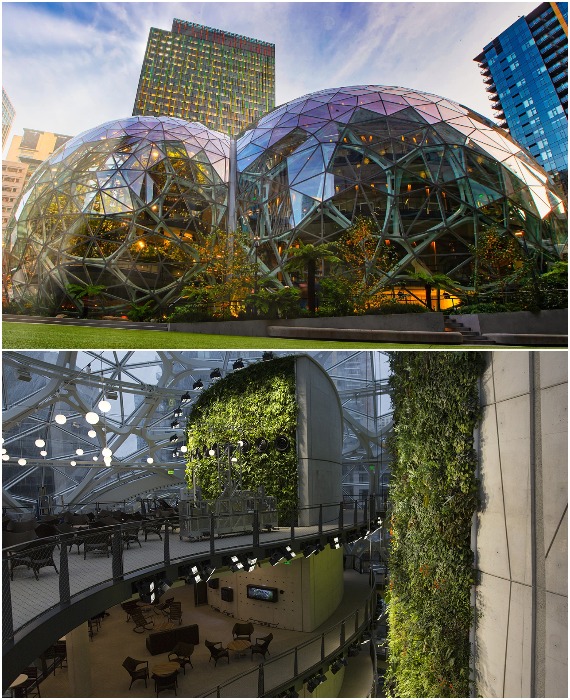Рабочие пространства прятаны в самых неожиданных местах, при этом окружены роскошной зеленью (Amazon Spheres, Сиэтл).