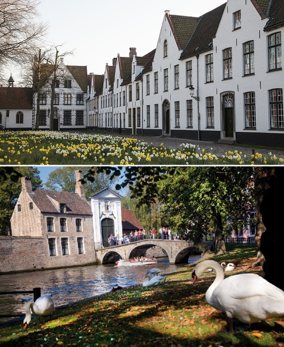 Средневековый женский монастырь Бегинаж Брюгге, расположенный неподалеку Озера любви, имеет собственный дворик, с многовековыми деревьями (Бельгия). 