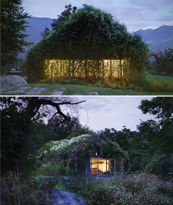 Только электричество выдает, что в лесных зарослях находится гостевой домик (GREEN BOX, Италия).