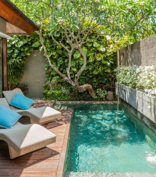Даже если места нет для сада, но очень хочется иметь бассейн в окружении зелени. | Фото: itinyhouses.com.