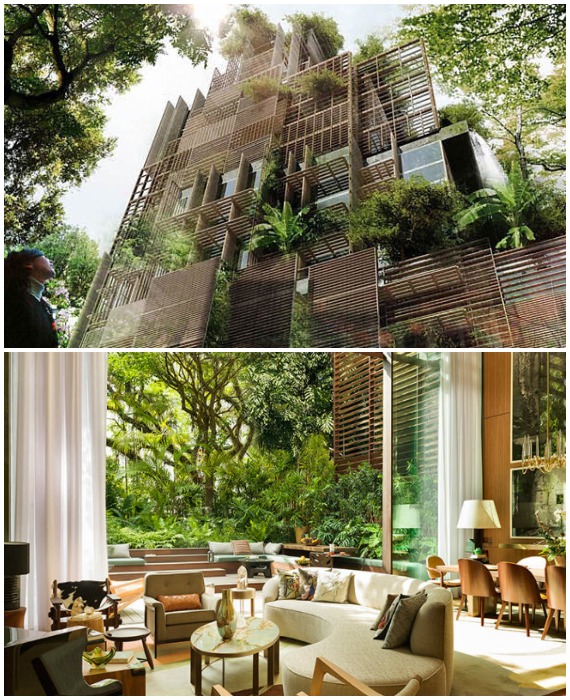 Проект роскошного отеля международного бренда Rosewood в Латинской Америке разработал Филипп Старк.
