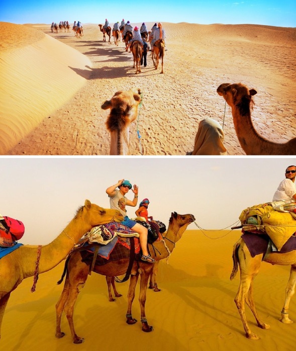 Туристам доступны прогулки на верблюдах по бескрайним дюнам, окружающим Джайсалмер (Индия).