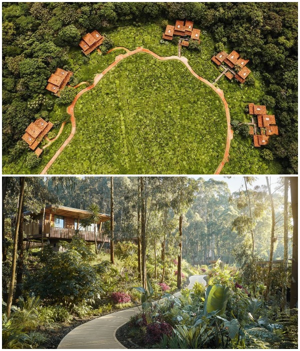 One&Only Nyungwe House расположен среди незабываемых ароматов тропических лесов и фантастической красоты Национального парка Ньюнгве (Руанда).