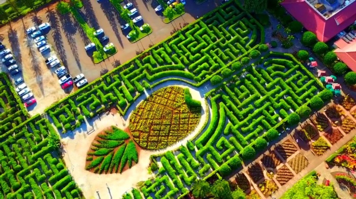 Лабиринт, состоящий из 14 тыс. экзотических деревьев был создан на ананасовых плантациях компании Dole на Гавайях (Pineapple Garden Maze). | Фото: dailyoverview.tumblr.com.