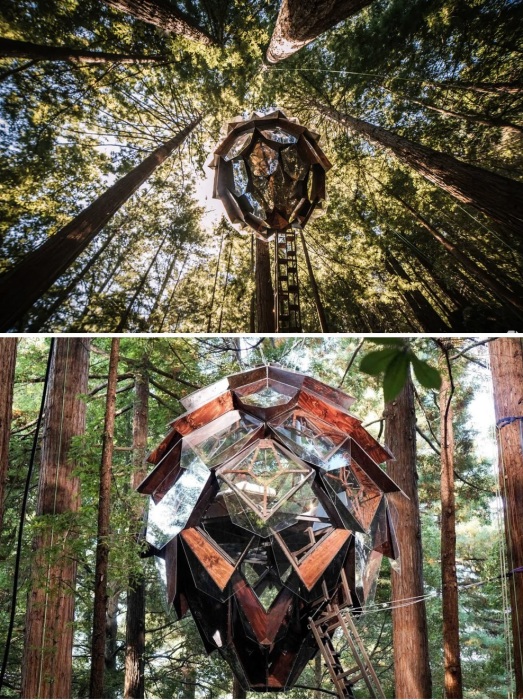 Остается лишь по доброму завидовать любому, кто видел и пожил в этом домике на дереве, который поистине является архитектурным чудом (Pinecone Treehouse, Сан-Франциско).