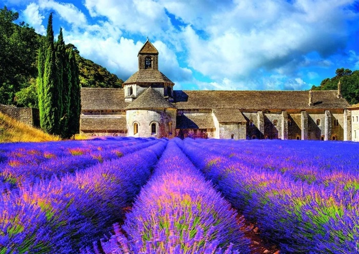  Возвышенное цистерцианское аббатство Сенанк в окружении цветущего лавандового поля – один из самых знаковых снимков (Франция). | Фото: lonelyplanet.com.