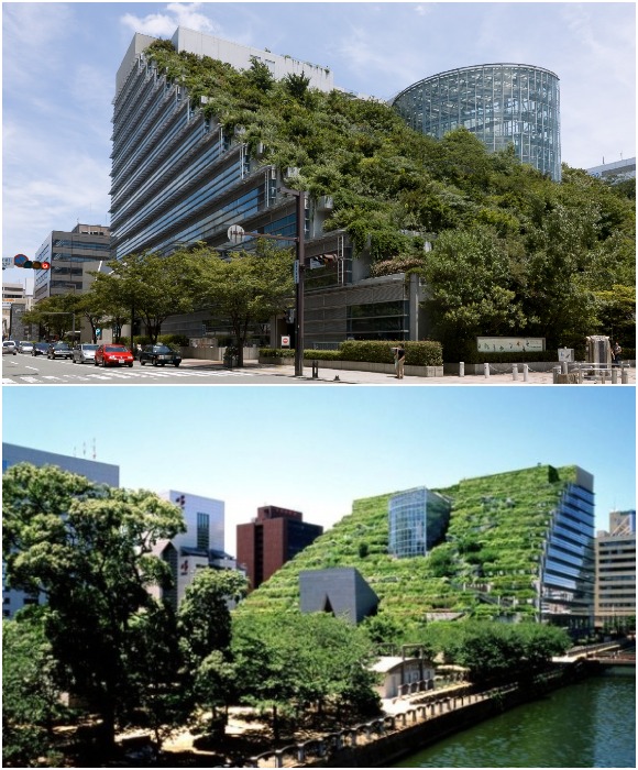 Фасад офисного здания стал основой для городского парка с зонами отдыха, прогулочными аллеями и смотровой площадкой (ACROS Fukuoka, Япония).