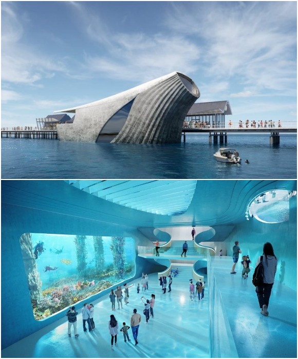 Австралийский центр подводных открытий, расположенный в 2 км от берега Басселтона заменит старый объект (концепт). 