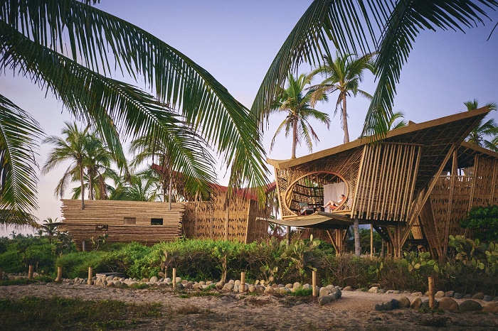 Эко-курорт Playa Viva с очаровательными бамбуковыми домиками на деревьях прекрасно существует вдали от цивилизации (Мексика, Juluchuca). | Фото: globetrender.com.