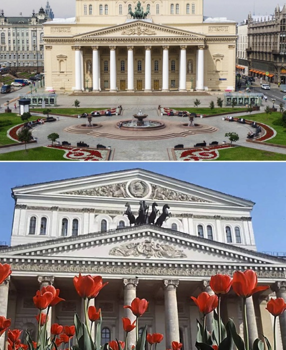 Каждую весну площадь украшают крупные ярко-красные тюльпаны сорта «Большой театр». 