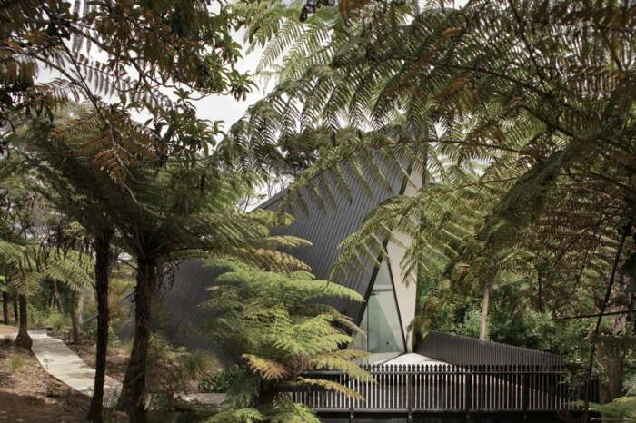 Палаточный дом в тропическом лесу Новой Зеландии, гарантирует незабываемый отдых и современный комфорт (The Tent House, о-в Уаихеке). | Фото: homedesignlover.com.