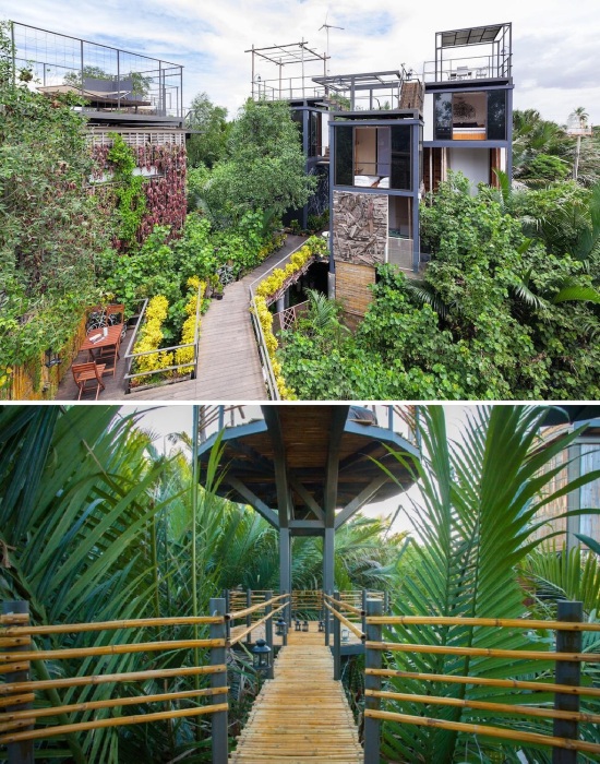 Bangkok Tree House – бутик-отель на вершине дерева, предлагающий отдых в трехэтажных резиденциях, каждая из которых имеет «мечтательную» террасу на крыше (Таиланд).