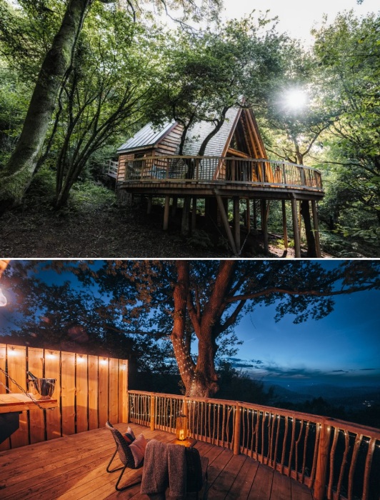 Одинокий домик на дереве в потрясающей долине Уай – уникальное убежище только для двоих (The Hudnalls Hideout, Глостершир).