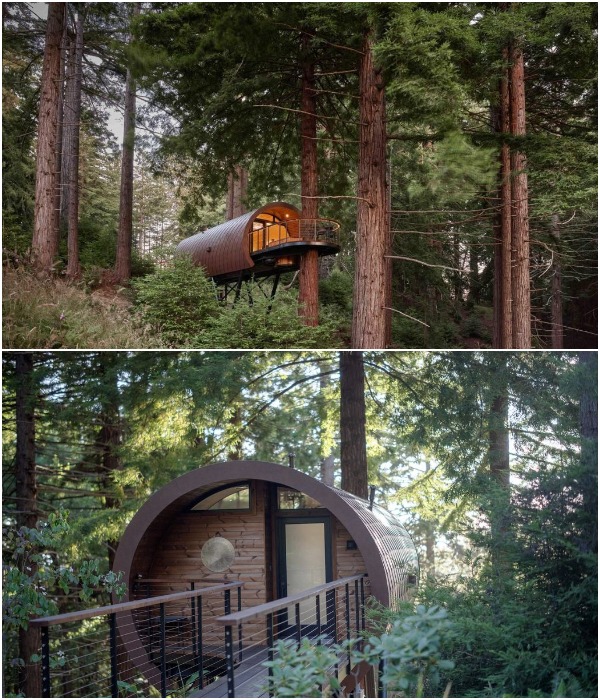 Благоустроенный домик на дереве под названием Spyglass обеспечит незабываемый отдых.
