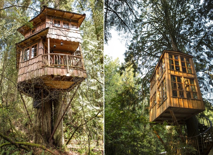 Эко-отель TreeHouse Point, предлагающий отдых в домиках на дереве, является раем для любителей природы и уединения.