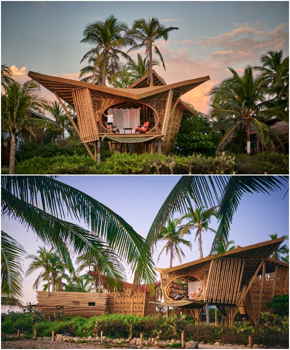 Эко-курорт Playa Viva состоит из домиков на дереве, форма крыш которых явно напоминают крылья скатов мобулы (Джулучук, Мексика).
