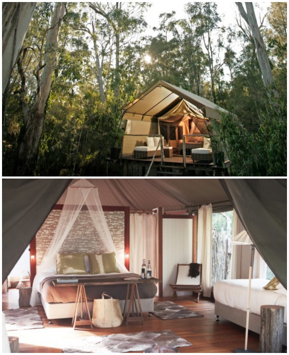 Глэмпинг Paperbark Camp – палаточный рай великолепен и гламурен как для новичка, так и привередливого путешественника (Австралия). 