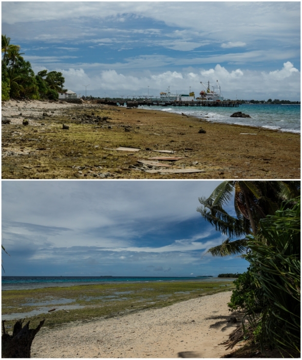 Чаще всего побережье выглядит совсем не привлекательно (Тувалу).