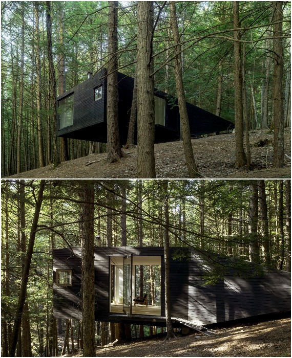 Со строительством такого лесного домика справятся даже дилетанты (Half-Tree House, штат Нью-Йорк). 