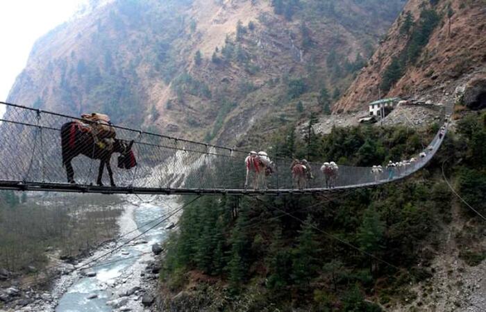 Kushma Gyadi Bridge – одна из самых длинных и экстремальных переправ Непала, к раскачиванию которой привыкли даже ослики (как и к пропасти под ногами/копытами). | Фото: orangesmile.com.