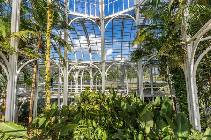 В оранжерее, созданной по образу и подобию лондонского Хрустального дворца, собраны преимущественно местные виды растений (Куритиба, Бразилия). | Фото: planetofhotels.com.