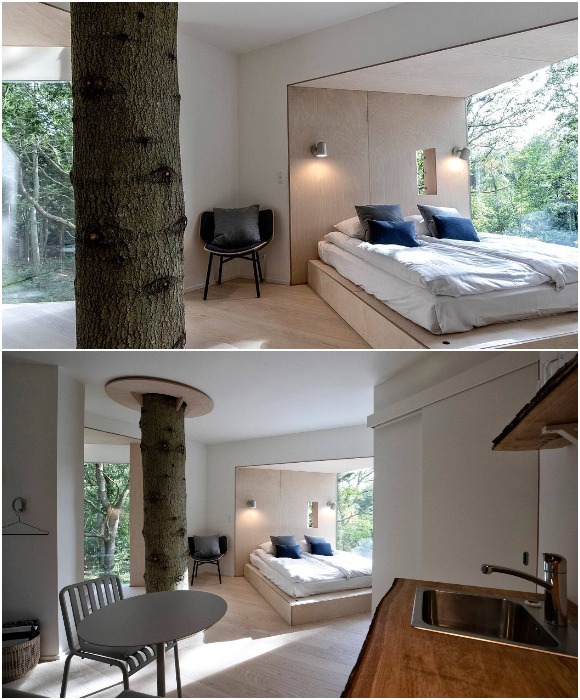 В каждом комфортабельном номере можно бесконечно любоваться красотой природы и наслаждаться тесным контактом с ней (Lovtag TreeTop, Дания).