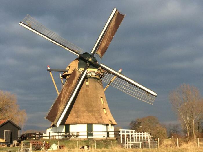 Эта голландская мельница на самом деле является колоритным гостевым домом под названием Mondriaanmolen. | Фото: tinyhousetalk.com.