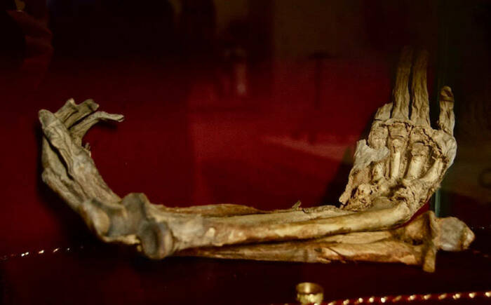Фрагменты мумифицированных рук выставлены в прозрачном ящике в назидание воришкам (Cappella di San Galgano, Кьюздино). | Фото: allthatsinteresting.com.