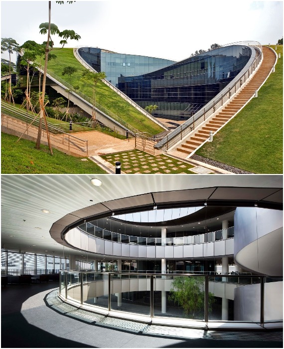 В здании Школы искусств, дизайна и коммуникации стерли грань между архитектурой и природой, покрыв крышу газоном (Nanyang Technological University, Сингапур).