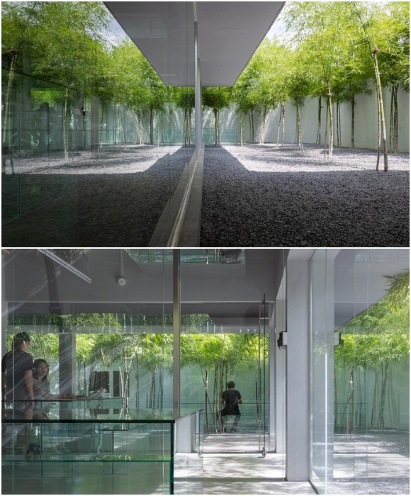 Внутренний двор можно использовать в качестве рабочего пространства, если архитекторам среди живой природы лучше думается (офис MIA Design Studio, Вьетнам).