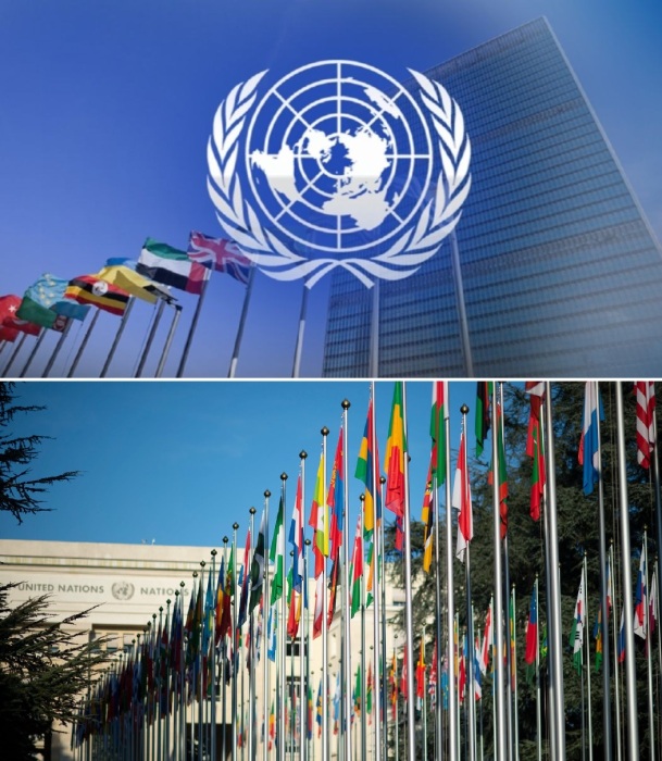 ООН – международная организация, созданная для поддержания и укрепления международного мира и безопасности.