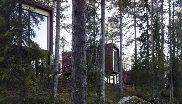 Люксы состоят из одного домика, но и в нем есть все необходимое для комфортного отдыха (Arctic TreeHouse, Финляндия). | Фото: arctictreehousehotel.com.
