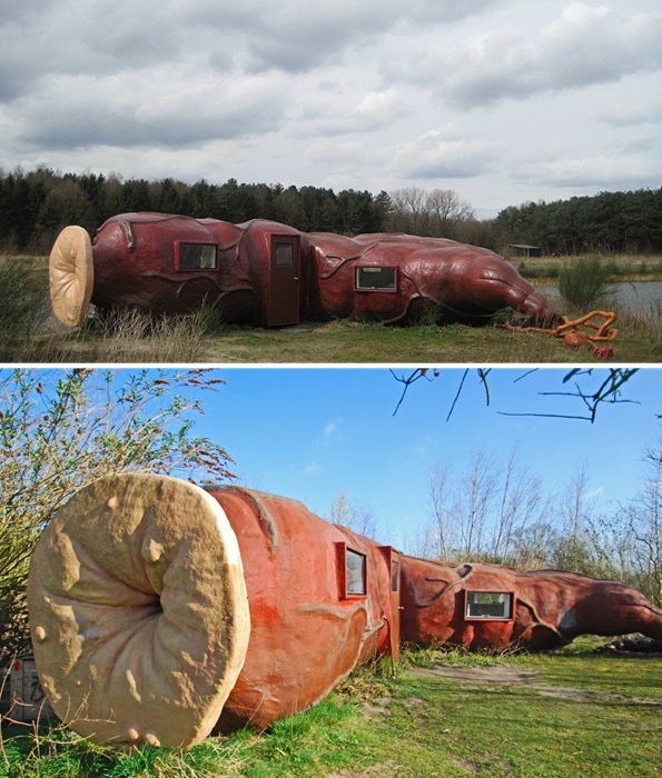 Отель CasAnus – уютная анатомическая модель кишечника человека. Отель CasAnus – уютная анатомическая модель кишечника человека.