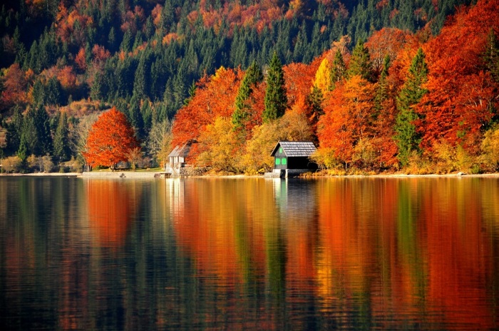 Озеро Блед – восхитительная жемчужина Словении, которая завораживает своей красотой в любое время года. | Фото: mobillegends.net.
