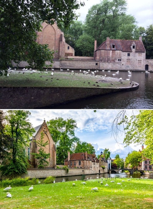 «Озеро любви» превратилось в «Лебединое», поскольку эти благородные птицы выбрали его в качестве своего дома (Брюгге, Бельгия).