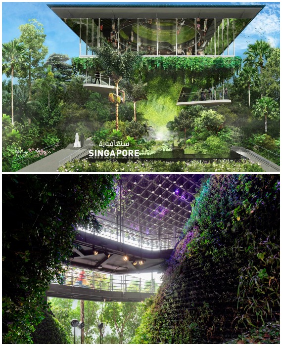 Павильон Сингапура создан в виде трехмерного сада (Dubai Expo 2020).