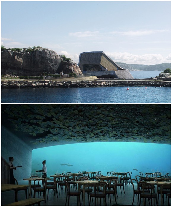 Суровой красотой норвежского побережья можно любоваться как на открытой террасе над водой, так и в обеденном зале на глубине 5 метров (Under, Линдеснес). 