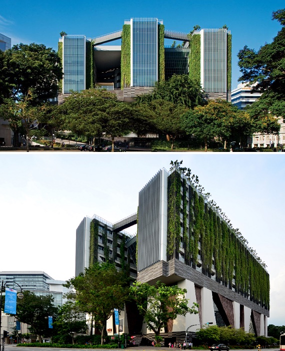 School of the Arts – эко-школа с масштабным озеленением территории, фасада, интерьеров и крыш (Сингапур). 