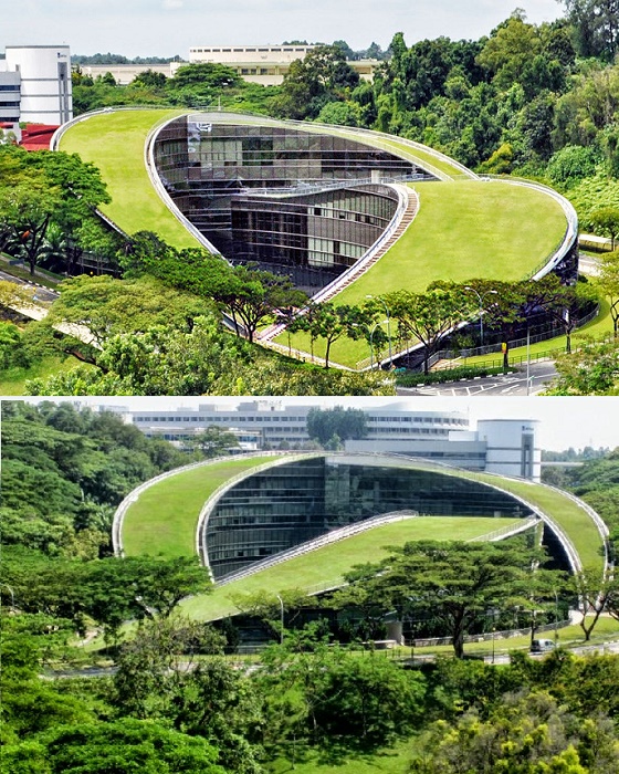 Многофункциональная крыша является местом взаимодействия студентов и преподавателей (School of Art, Design and Media, Сингапур).