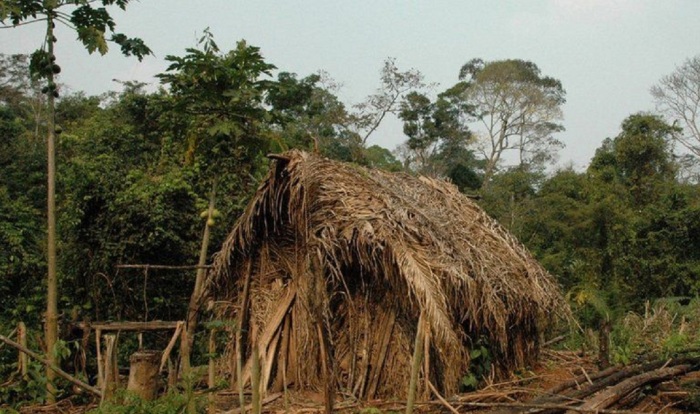 Древние домики бразильских племен. | Фото: novoeizdanie.com.