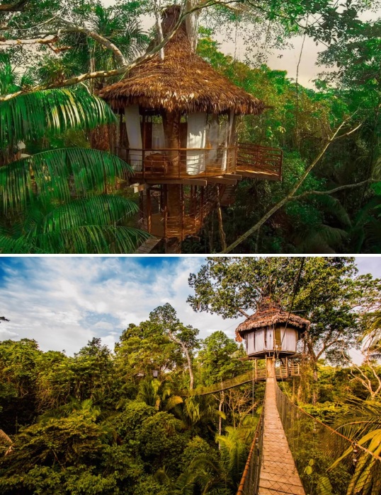 К домикам на дереве можно добраться лишь по системе подвесных мостов, которые дополнят впечатления незабываемыми приключениями (Treehouse Lodge в Перу). 