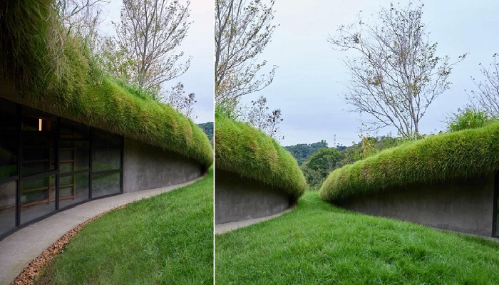 «Подземную библиотеку», можно найти под холмами, щедро покрытыми травой (Kurkku Fields, Япония).