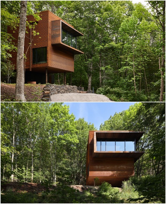 Лесная резиденция White Rock от Omar Gandhi Architects – яркий образец устойчивого дизайна, ориентированный на гармоничное сосуществование людей и природного окружения (Канада).